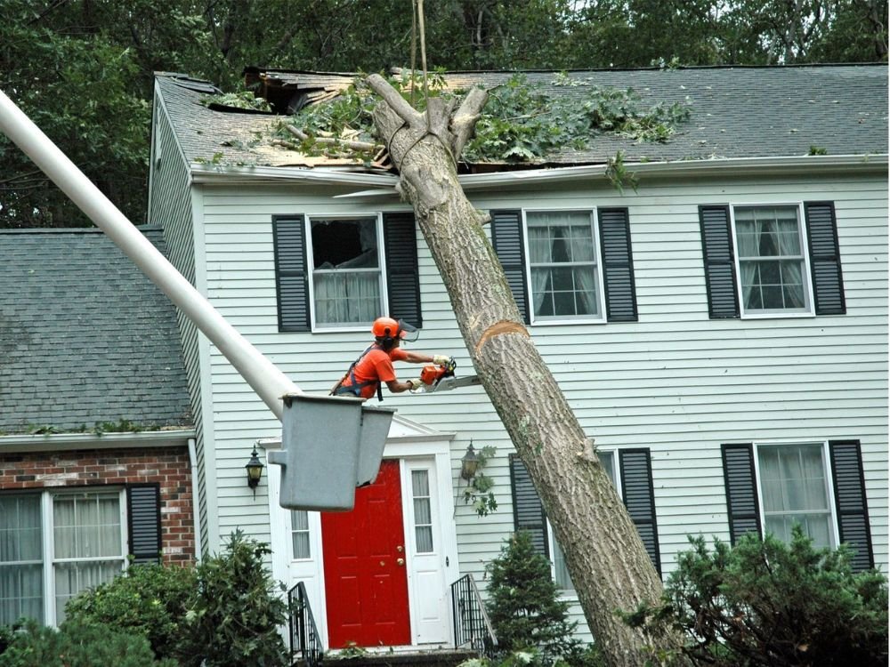 Tree Trimming Service