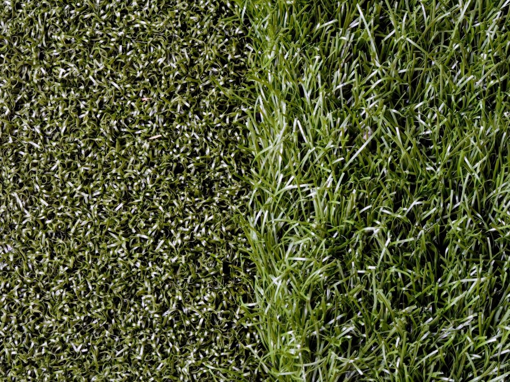 fake grass company about
