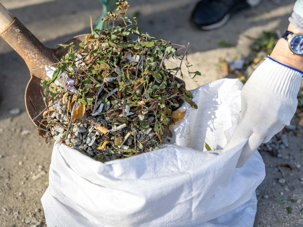 Strom Debris Removal about